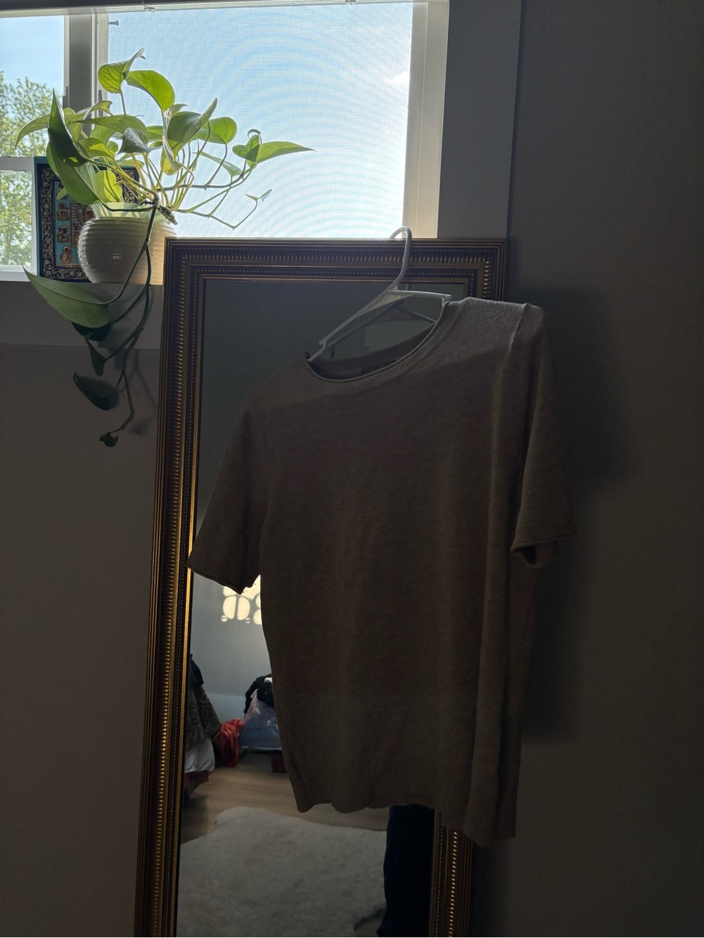 Milano Woman’s Crewneck Short Sleeve Sweater in Tan